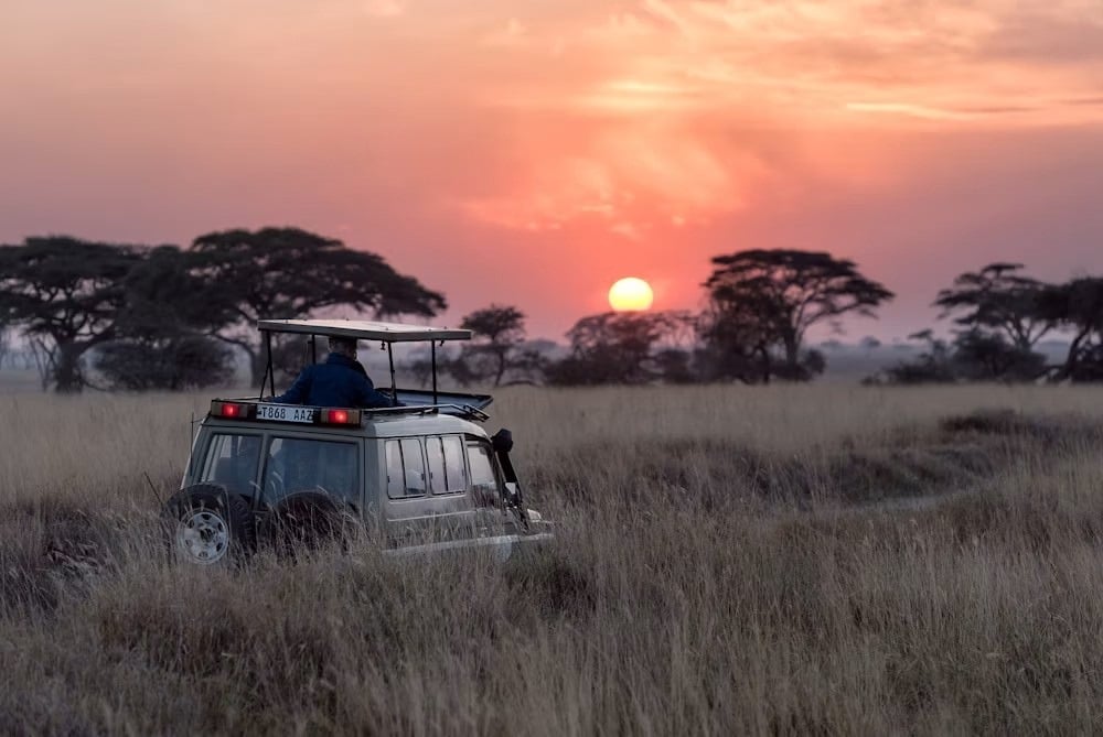 Maasai Mara safari
